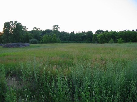 Sunset Drive-In Theatre - Now - Photo From Water Winter Wonderland (newer photo)